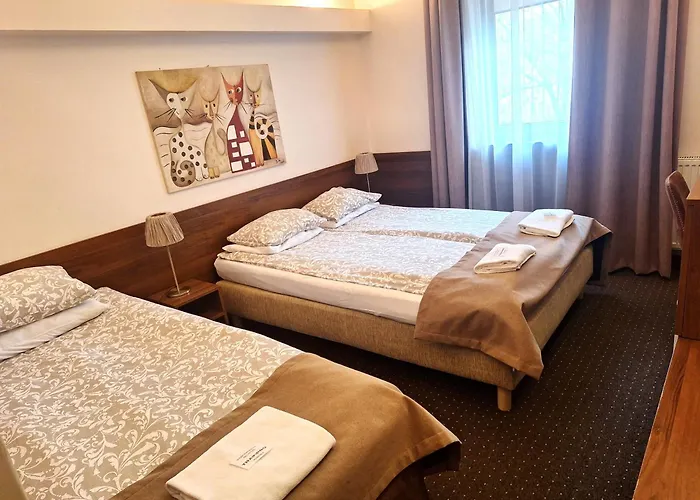 B & B Tomula